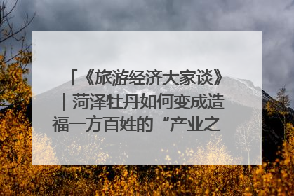 《旅游经济大家谈》｜菏泽牡丹如何变成造福一方百姓的“产业之花”“富民之花”？