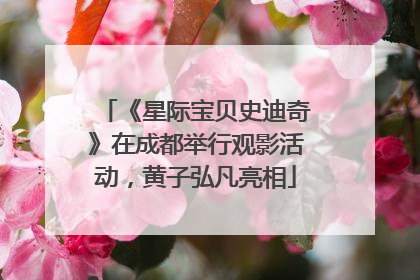 《星际宝贝史迪奇》在成都举行观影活动，黄子弘凡亮相