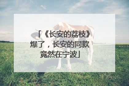 《长安的荔枝》爆了，长安的同款竟然在宁波