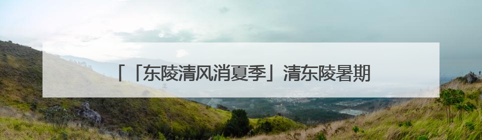 「东陵清风消夏季」清东陵暑期特别活动，“清东陵大使”招募啦！用你的热爱守护世界遗产！