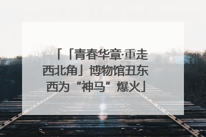 「青春华章·重走西北角」博物馆丑东西为“神马”爆火