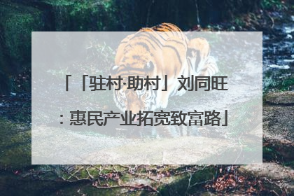 「驻村·助村」刘同旺：惠民产业拓宽致富路