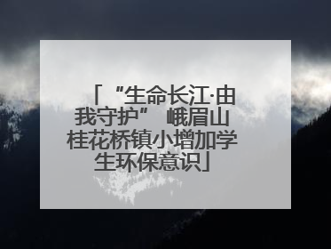 “生命长江·由我守护” 峨眉山桂花桥镇小增加学生环保意识