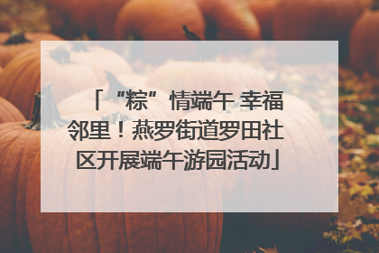 “粽”情端午 幸福邻里！燕罗街道罗田社区开展端午游园活动