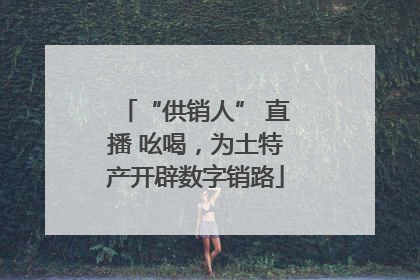 “供销人” 直播 吆喝，为土特产开辟数字销路