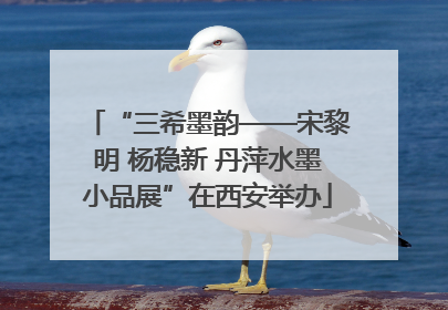 “三希墨韵——宋黎明 杨稳新 丹萍水墨小品展”在西安举办