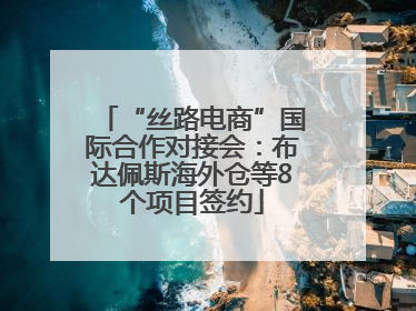 “丝路电商”国际合作对接会：布达佩斯海外仓等8个项目签约