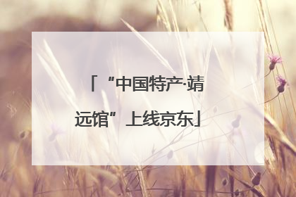 “中国特产·靖远馆”上线京东