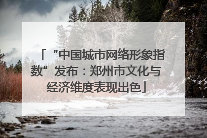 “中国城市网络形象指数”发布：郑州市文化与经济维度表现出色