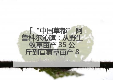 “中国草都” 阿鲁科尔沁旗：从野生牧草亩产 35 公斤到苜蓿草亩产 800 公斤以上