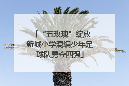 “五玫瑰”绽放 新城小学混编少年足球队勇夺四强
