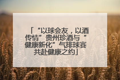 “以球会友，以酒传情”贵州珍酒与“健康新化”气排球赛共赴健康之约
