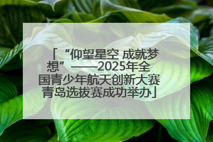“仰望星空 成就梦想”——2025年全国青少年航天创新大赛青岛选拔赛成功举办