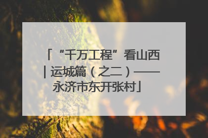 “千万工程”看山西｜运城篇（之二）——永济市东开张村