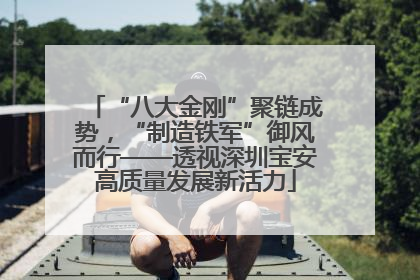 “八大金刚”聚链成势，“制造铁军”御风而行——透视深圳宝安高质量发展新活力
