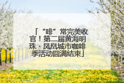 “啡”常完美收官！第二届黄海明珠・凤凰城市咖啡季活动圆满结束