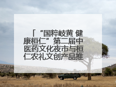 “国粹岐黄 健康桓仁”第二届中医药文化夜市与桓仁农礼文创产品推介会圆满举办