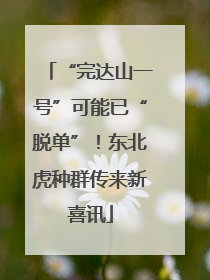 “完达山一号”可能已“脱单”！东北虎种群传来新喜讯