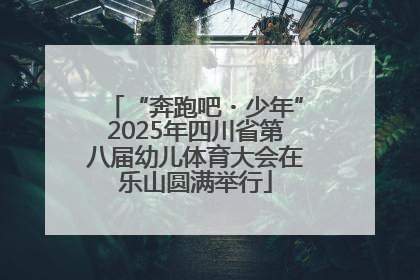 “奔跑吧・少年”2025年四川省第八届幼儿体育大会在乐山圆满举行