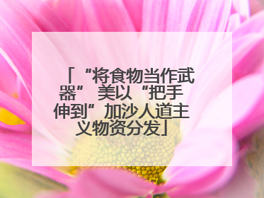 “将食物当作武器” 美以“把手伸到”加沙人道主义物资分发