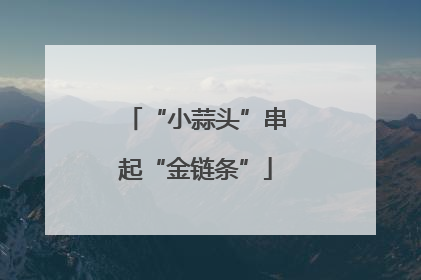 “小蒜头”串起“金链条”