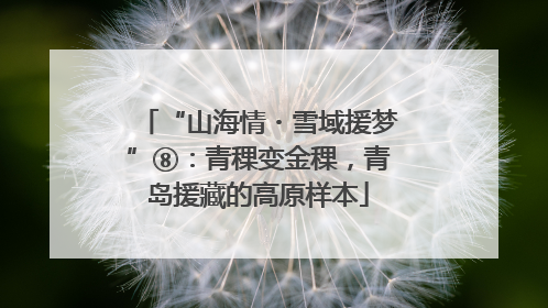 “山海情・雪域援梦”⑧：青稞变金稞，青岛援藏的高原样本