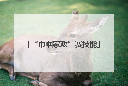 “巾帼家政”赛技能