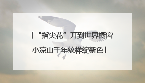 “指尖花”开到世界橱窗 小凉山千年纹样绽新色