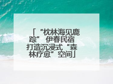 “枕林海见鹿踪” 伊春民宿打造沉浸式“森林疗愈”空间