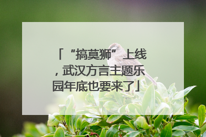 “搞莫狮”上线，武汉方言主题乐园年底也要来了