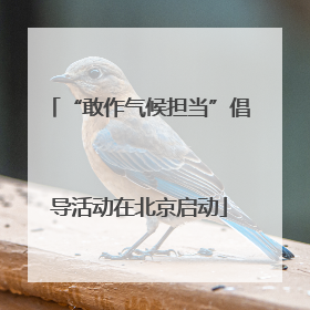 “敢作气候担当”倡导活动在北京启动