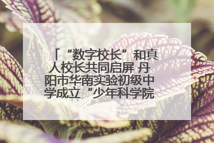 “数字校长”和真人校长共同启屏 丹阳市华南实验初级中学成立“少年科学院”共筑科技创新梦