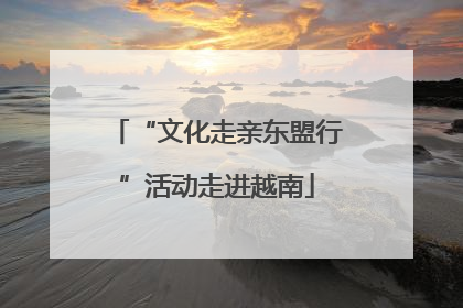 “文化走亲东盟行”活动走进越南