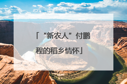 “新农人”付鹏程的稻乡情怀