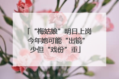“梅姑娘”明日上岗 今年她可能“出镜”少但“戏份”重
