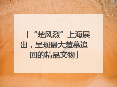 “楚风烈”上海展出，呈现最大楚墓追回的精品文物