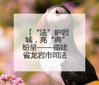 “法”护岩城，亮“典”纷呈——福建省龙岩市司法局民法典宣传月普法活动纪实