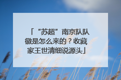 “苏超”南京队队徽是怎么来的？收藏家王世清细说源头