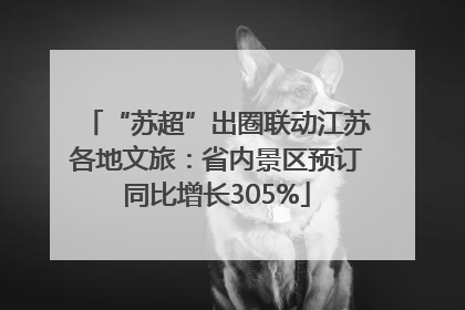 “苏超”出圈联动江苏各地文旅：省内景区预订同比增长305%