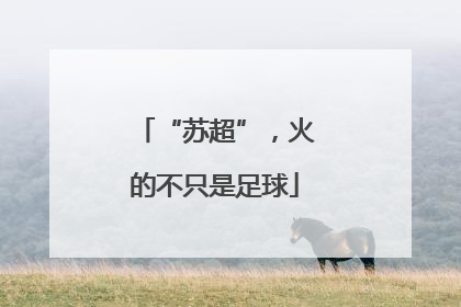 “苏超”，火的不只是足球