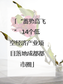 “蓄势高飞” 14个低空经济产业项目落地成都都市圈