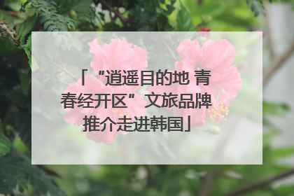 “逍遥目的地 青春经开区”文旅品牌推介走进韩国