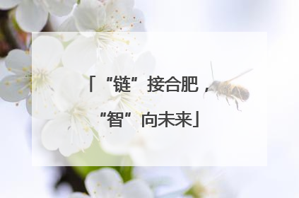 “链”接合肥，“智”向未来