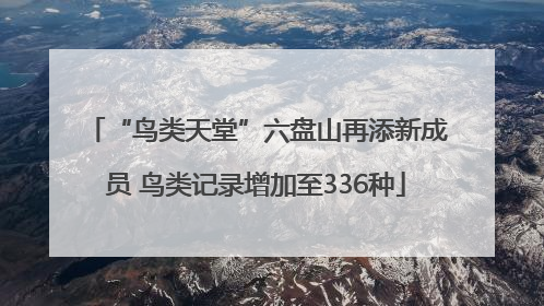 “鸟类天堂”六盘山再添新成员 鸟类记录增加至336种