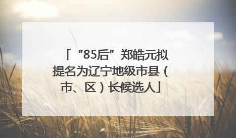 “85后”郑皓元拟提名为辽宁地级市县（市、区）长候选人