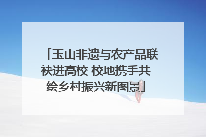 玉山非遗与农产品联袂进高校 校地携手共绘乡村振兴新图景