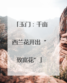 玉门：千亩西兰花开出“致富花”