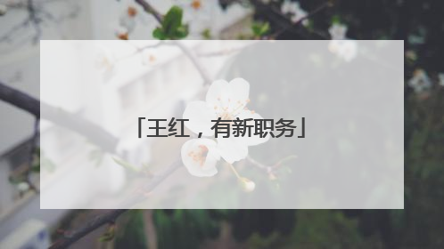 王红，有新职务