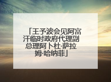 王予波会见阿富汗临时政府代理副总理阿卜杜·萨拉姆·哈纳菲