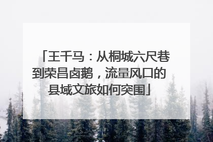 王千马：从桐城六尺巷到荣昌卤鹅，流量风口的县域文旅如何突围